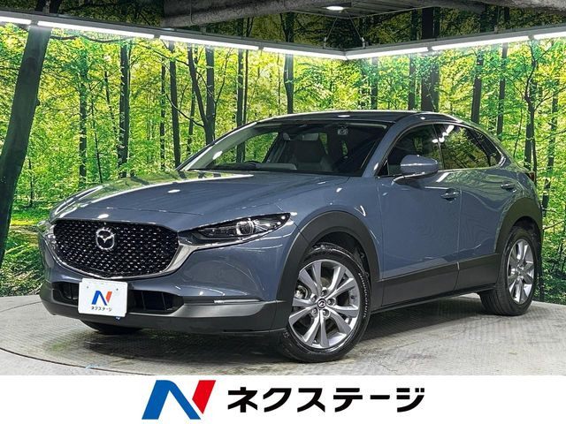CX-301.8 XD プロアクティブ ツーリングセレクション