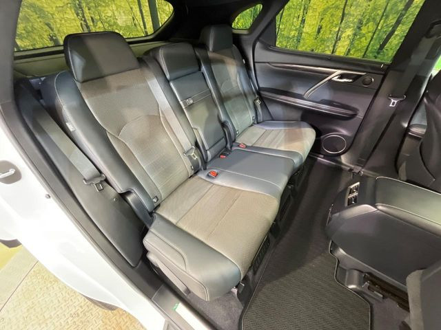 �㕔���Ȃ��C�ɂȂ�悤�ȃL�Y�E�����ւ��蓙�A�傫�ȃ_���[�W�͂Ȃ��A�ǍD�ȏ�Ԃł��B