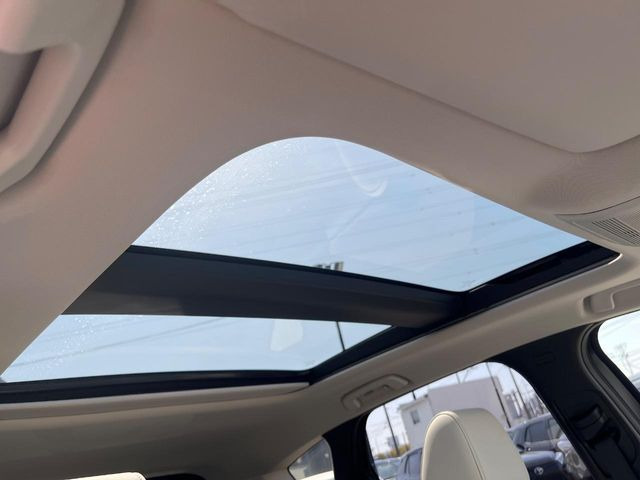 �y�T�����[�t�z�J���������Ղ�̊󏭑����A�T�����[�t����������Ă��܂�!�ԓ��ɖ�����������ꂽ��i�F���y���ވȊO�ɂ��A�ԓ��̋�C���ȒP�Ɋ��C�ł��ĉ��K�ł�!