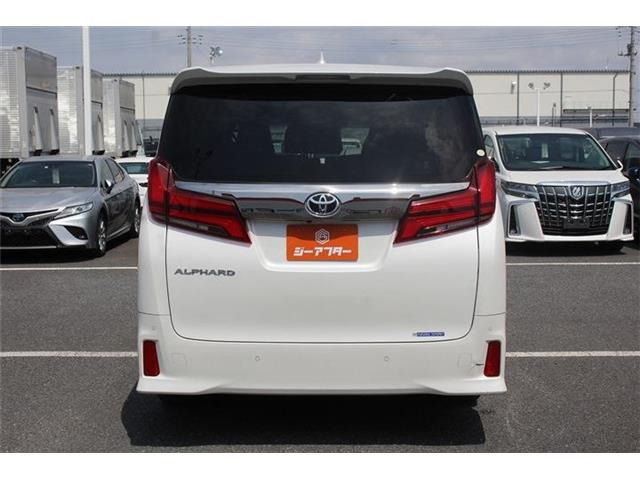 ���Ǝҗl�ւ̔̔��͂��f�肳���Ă��������܂��B �Ԍ������ԗ��̏ꍇ�́A�Ԍ����擾�������x�������z�ŕ\�����Ă���܂��B