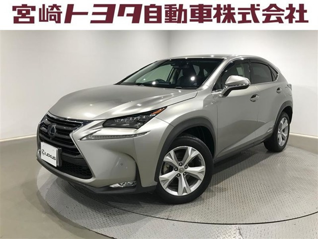 NX300h バージョンL