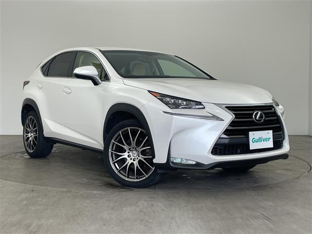 NX200t Iパッケージ