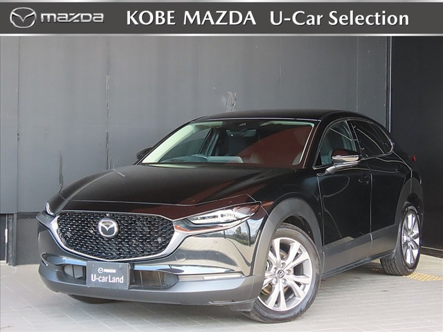 CX-302.0 20S プロアクティブ