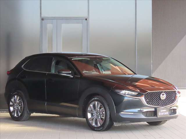 CX-302.0 20S プロアクティブ