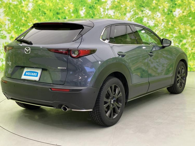 CX-301.8 XD Lパッケージ 4WD