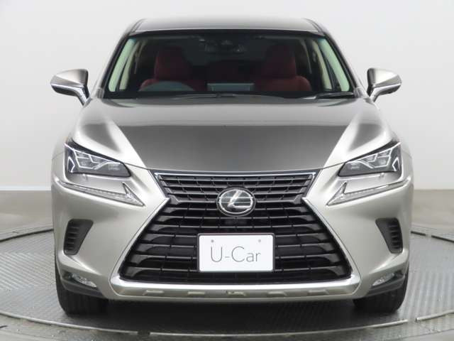 NX300 Iパッケージ