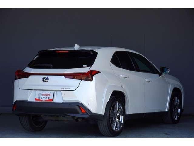 UX250h グレイスフル エクスプローラー