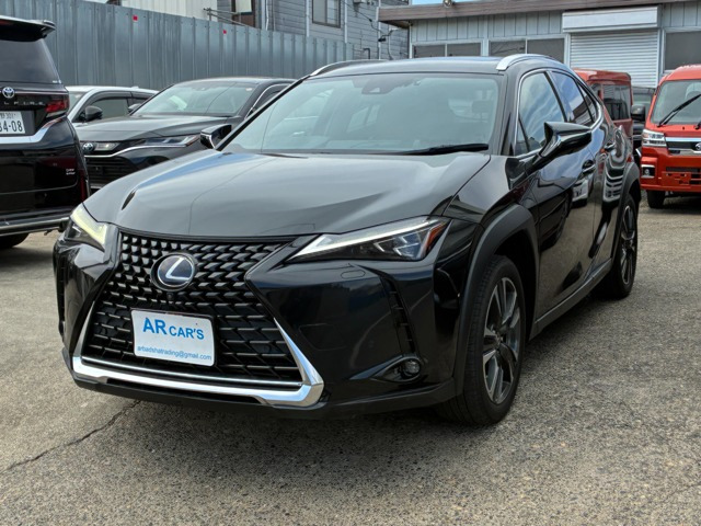 UX250h バージョンL