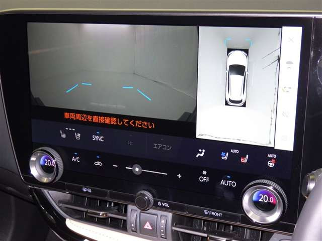 NX250 バージョンL