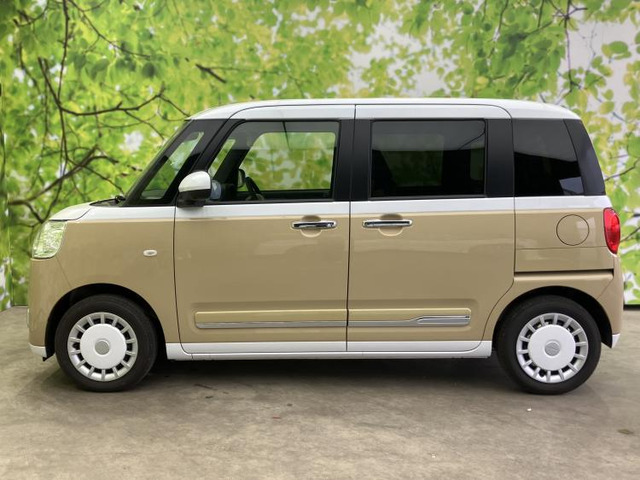 ムーヴキャンバスストライプス G