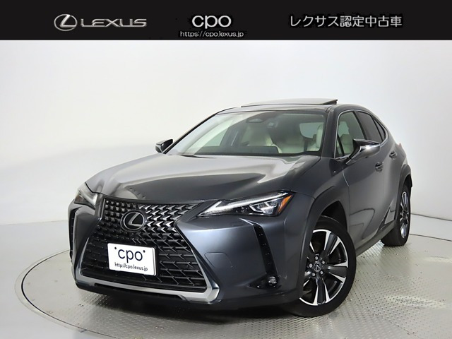 UX300h バージョンL