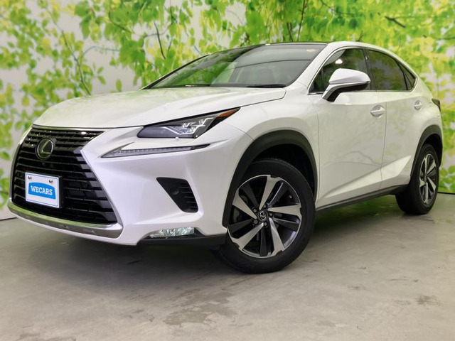 NX300 Iパッケージ