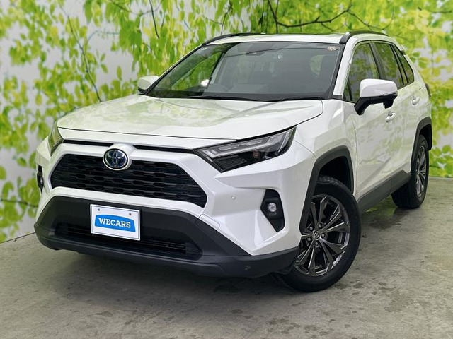 RAV42.5 ハイブリッド X