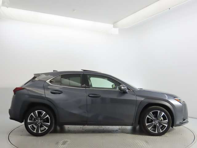 UX300h バージョンL