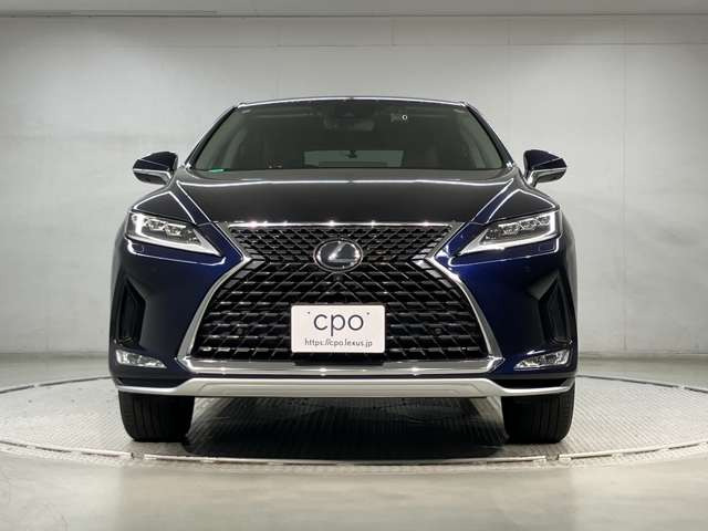 RX300 バージョンL