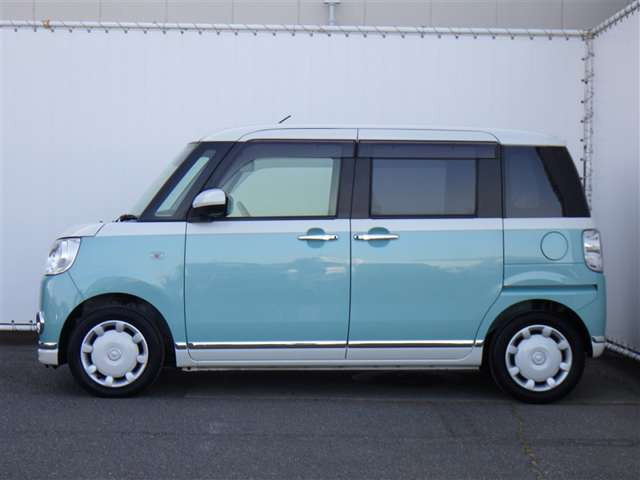 ムーヴキャンバスG SAIII