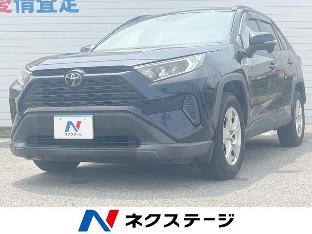 RAV42.0 X
