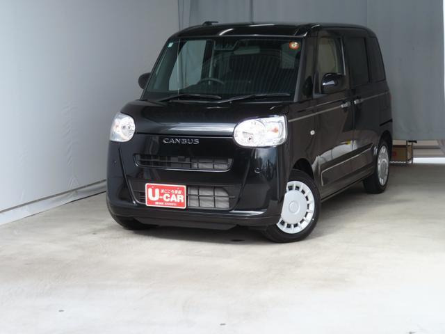 ムーヴキャンバスセオリー X