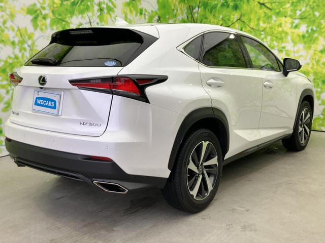 NX300 Iパッケージ