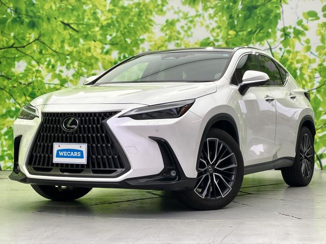 NX250 バージョンL