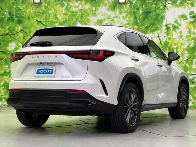 NX250 バージョンL