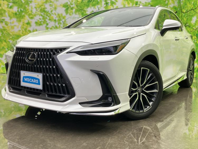 NX350h バージョンL 4WD