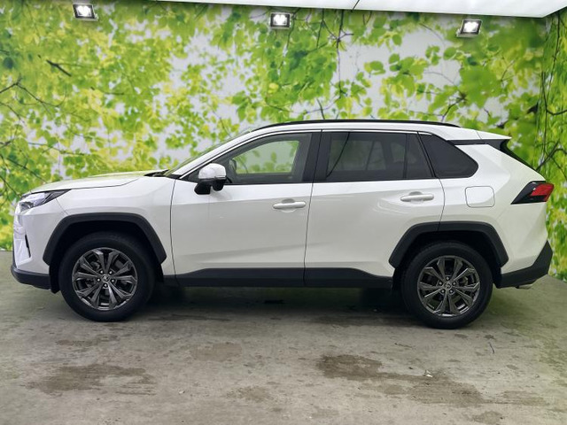 RAV42.5 ハイブリッド X