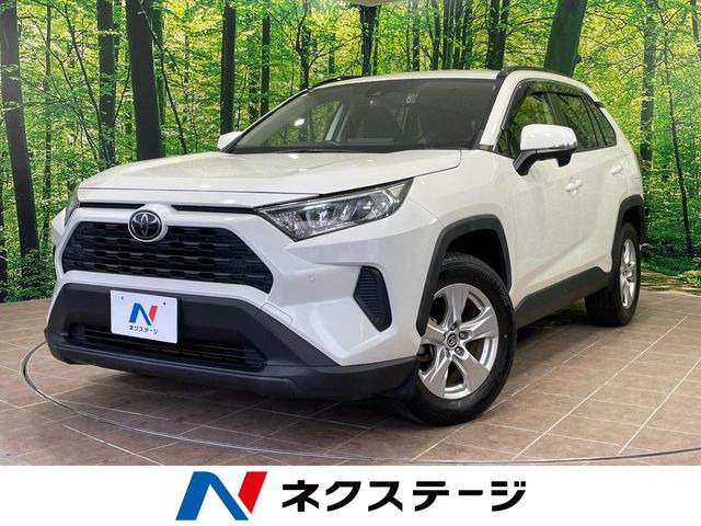 RAV42.0 X