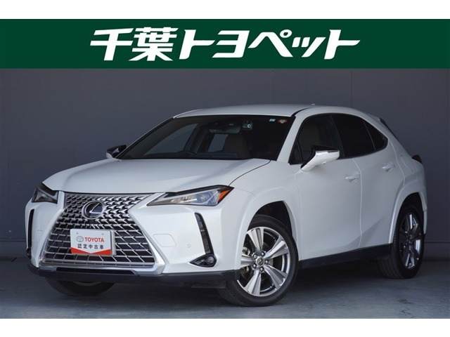 UX250h グレイスフル エクスプローラー