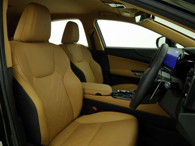 NX250 バージョンL