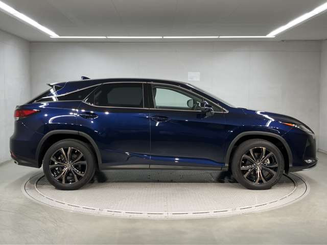 RX300 バージョンL