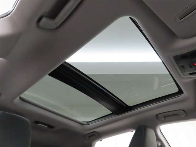 RX300 バージョンL