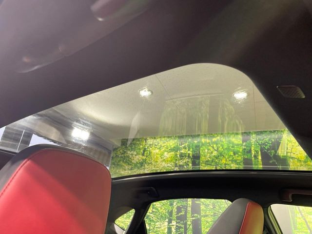 NX300h Fスポーツ