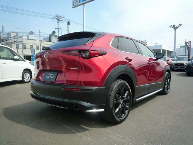 CX-30