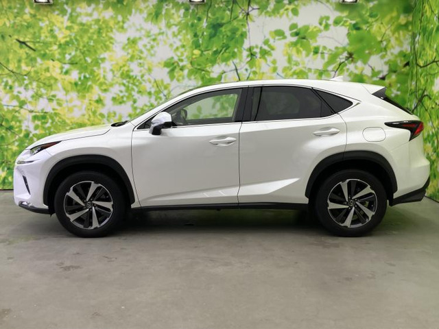 NX300 Iパッケージ