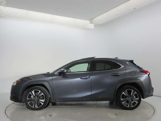 UX300h バージョンL