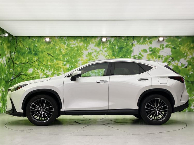 NX250 バージョンL