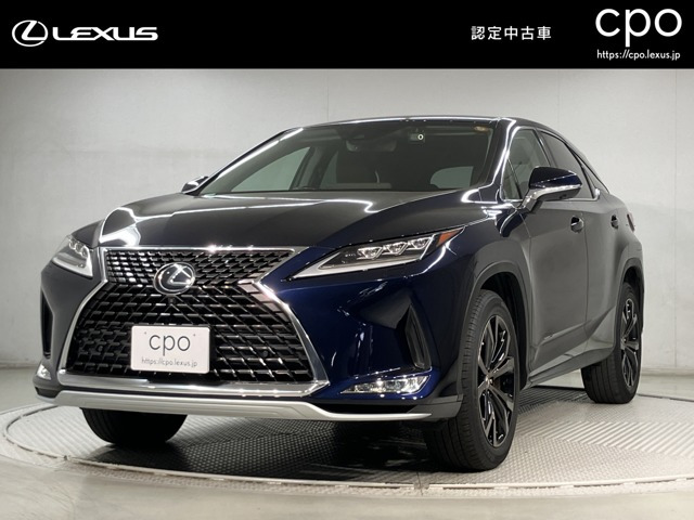 RX300 バージョンL