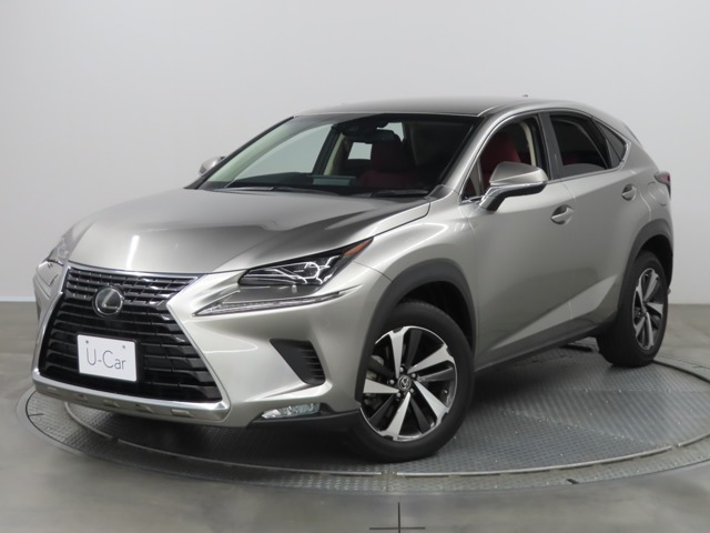 NX300 Iパッケージ