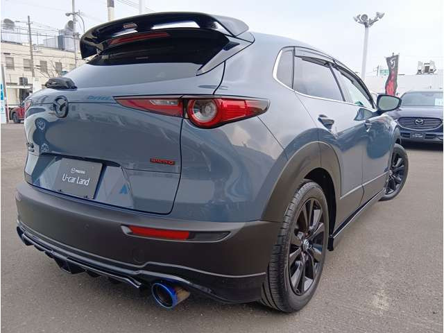 CX-30