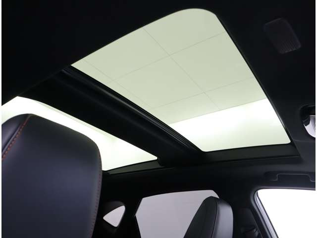 NX250 バージョンL