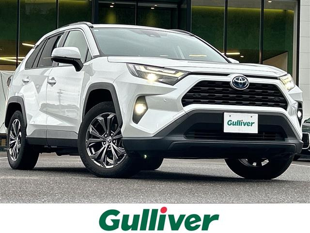 RAV42.5 ハイブリッド X