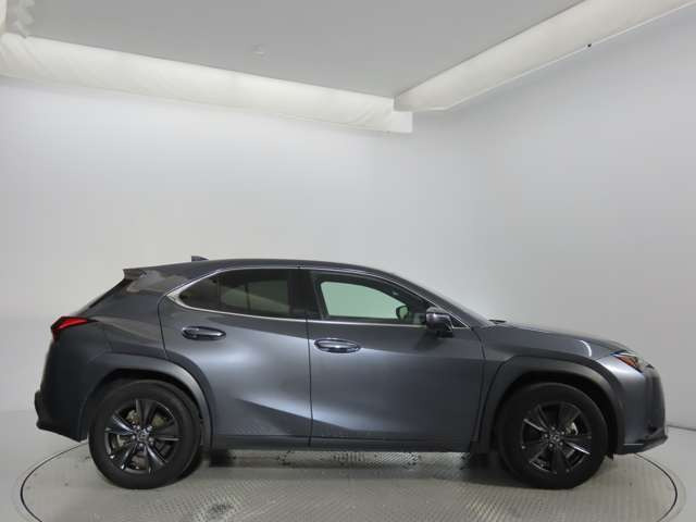 UX250h バージョンC