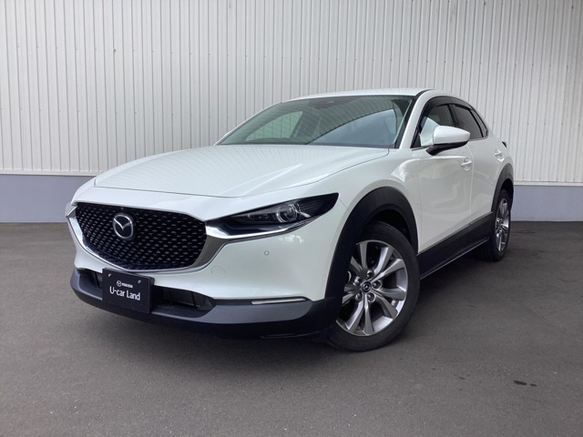 CX-302.0 20S
