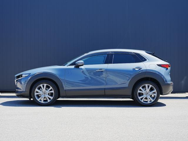 CX-302.0 20S プロアクティブ