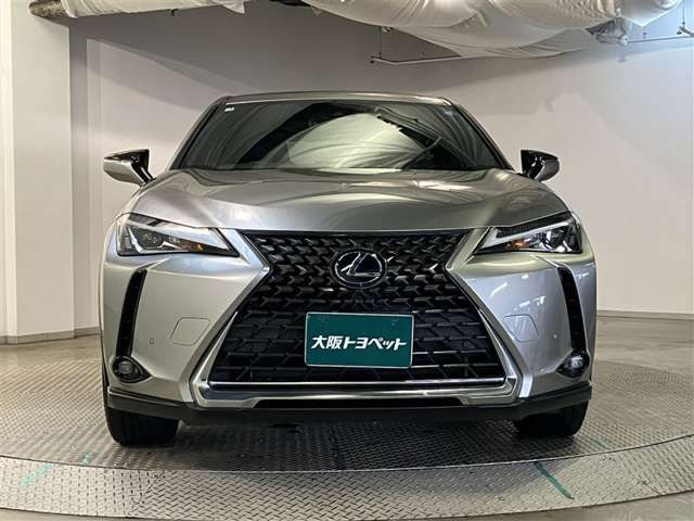 UX250h バージョンC