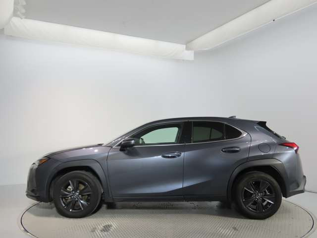 UX250h バージョンC