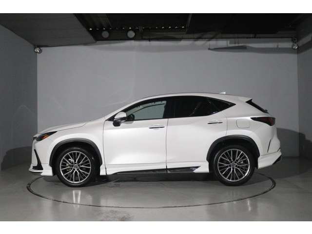 NX250 バージョンL 4WD