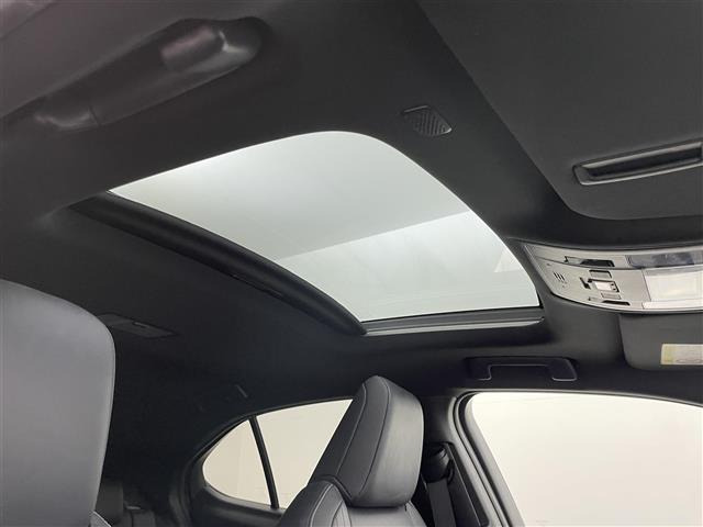 UX300e バージョンL