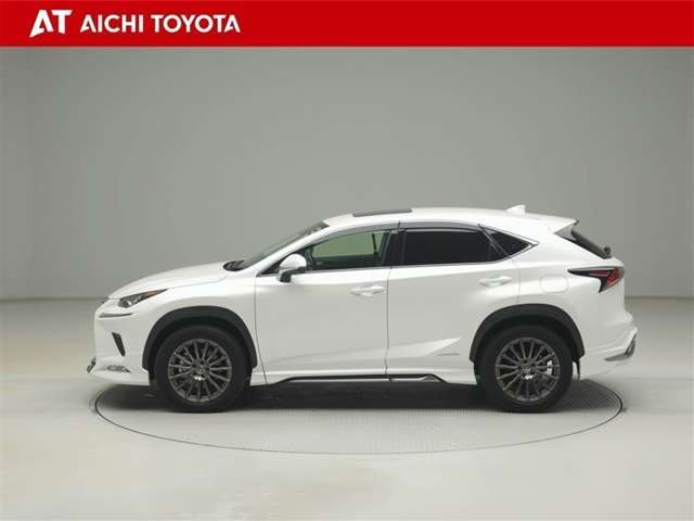 NX300h バージョンL 4WD